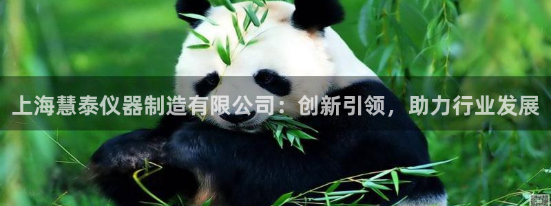 星欧娱乐倒闭了吗：上海慧泰仪器制造有限公司：创新引领，助力行