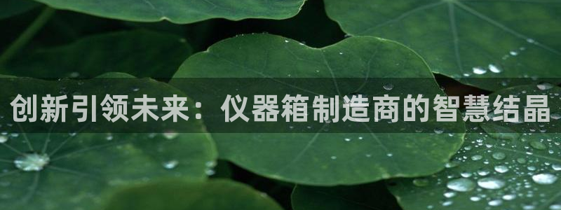星欧娱乐主管招商中：创新引领未来：仪器箱制造商的智慧结晶