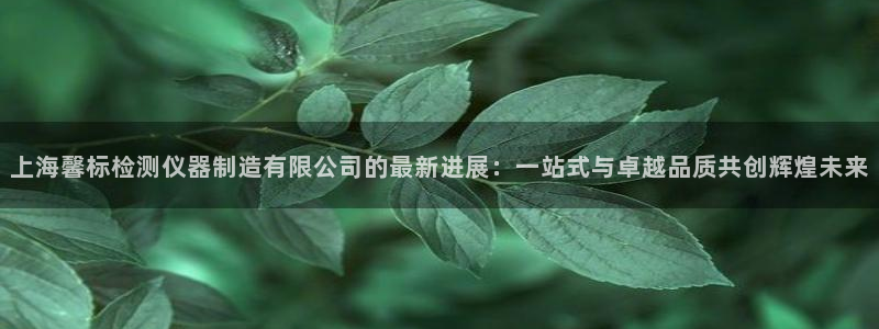 星欧娱乐平台怎么样：上海馨标检测仪器制造有限公司的最新进展：