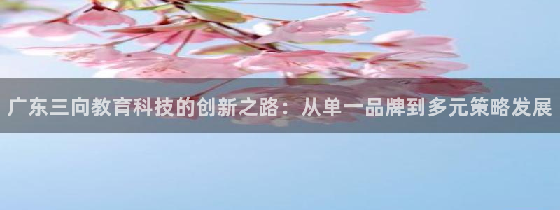 欧星科技娱乐公司：广东三向教育科技的创新之路：从单一品牌到多