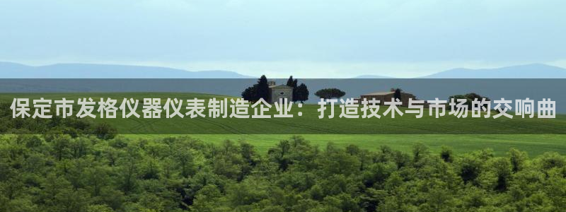 星欧娱乐扣费处理方法：保定市发格仪器仪表制造企业：打造技术与