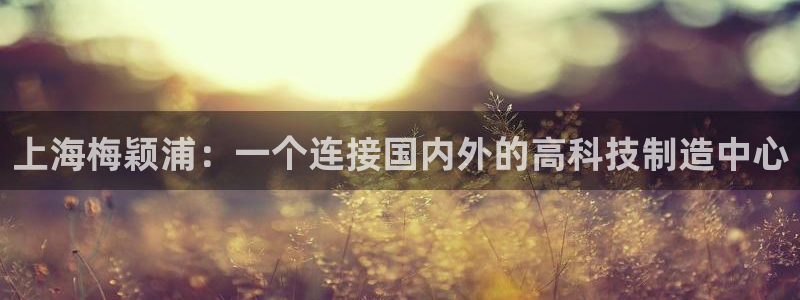 欧星娱乐平台：上海梅颖浦：一个连接国内外的高科技制造中心