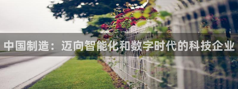 星欧娱乐平台主管：中国制造：迈向智能化和数字时代的科技企业