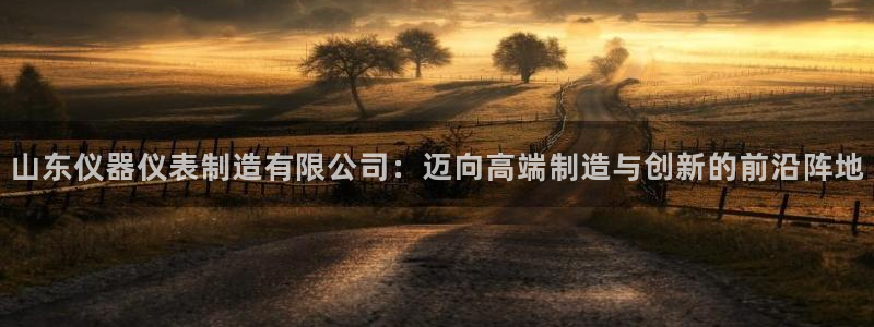 星欧娱乐扣款流程详解：山东仪器仪表制造有限公司：迈向高端制造