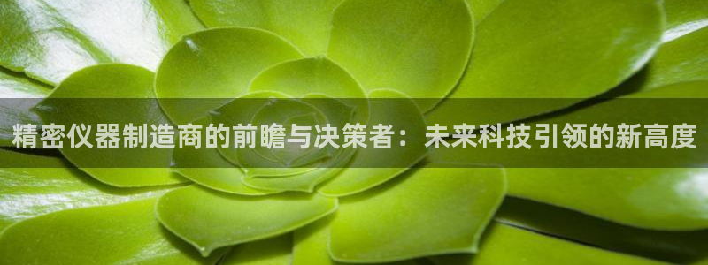 欧乐星城娱乐的介绍：精密仪器制造商的前瞻与决策者：未来科技引