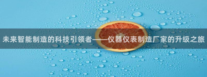 星欧娱乐平台官网入口：未来智能制造的科技引领者——仪器仪表制
