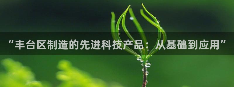 欧星娱乐怎么样：“丰台区制造的先进科技产品：从基础到应用”