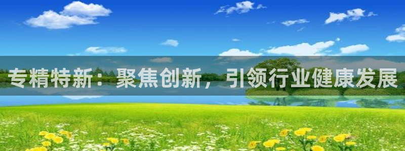欧星娱乐平台是黑的吗?：专精特新：聚焦创新，引领行业健康发展