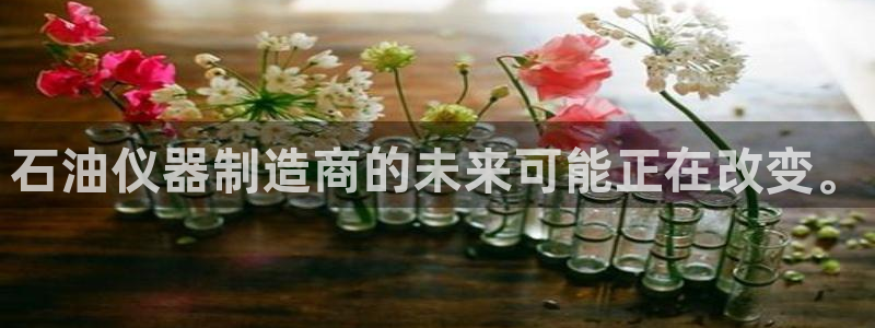 星欧娱乐公司：石油仪器制造商的未来可能正在改变。