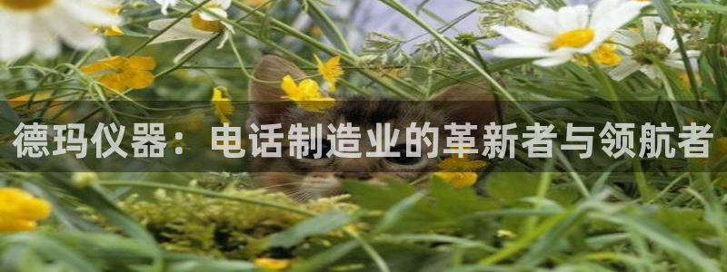星欧娱乐的安装方法及注意事项：德玛仪器：电话制造业的革新者与