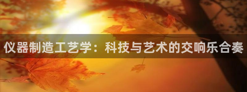 星欧娱乐客服人工电话：仪器制造工艺学：科技与艺术的交响乐合奏