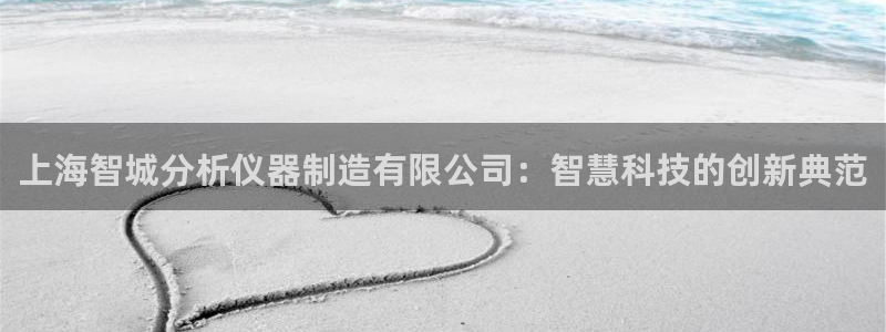 星饭娱乐欧豪：上海智城分析仪器制造有限公司：智慧科技的创新典