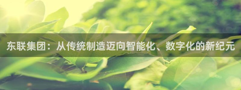 欧星在线娱乐下载安装：东联集团：从传统制造迈向智能化、数字化