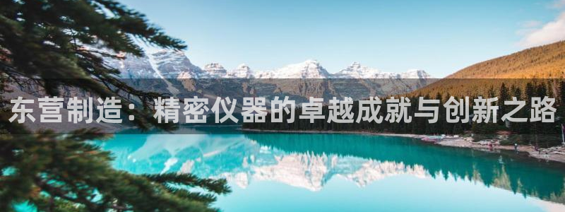欧星娱乐网址：东营制造：精密仪器的卓越成就与创新之路