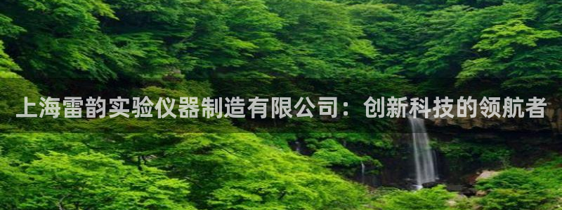 欧星娱乐网站：上海雷韵实验仪器制造有限公司：创新科技的领航者