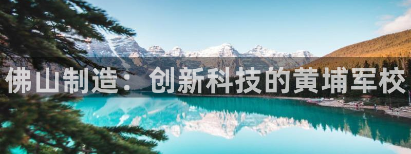 星欧娱乐注册官网：佛山制造：创新科技的黄埔军校