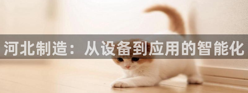 星欧娱乐平台是否安全：河北制造：从设备到应用的智能化