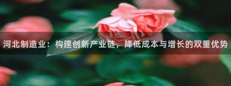 星欧娱乐是什么平台：河北制造业：构建创新产业链，降低成本与增