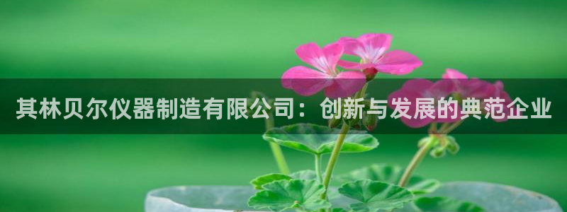 注册星欧娱乐需要多少钱：其林贝尔仪器制造有限公司：创新与发展