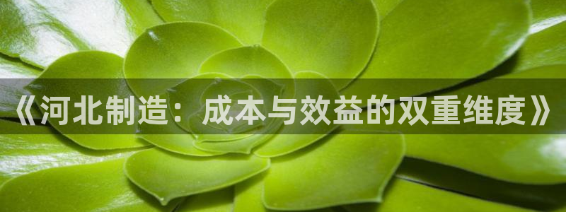 星欧娱乐官网客服电话：《河北制造：成本与效益的双重维度》