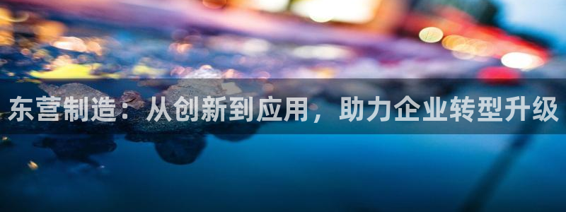 星欧娱乐公司老板背景：东营制造：从创新到应用，助力企业转型升