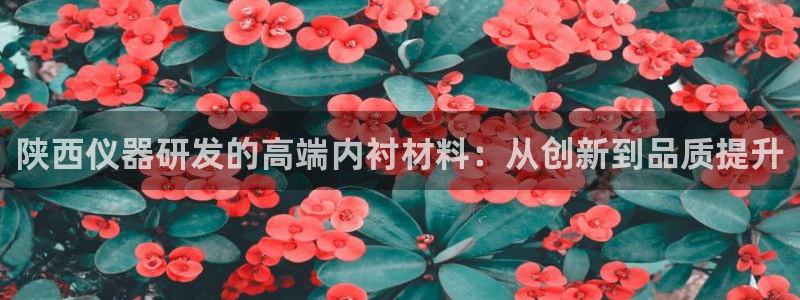 星欧娱乐元7O777：陕西仪器研发的高端内衬材料：从创新到品