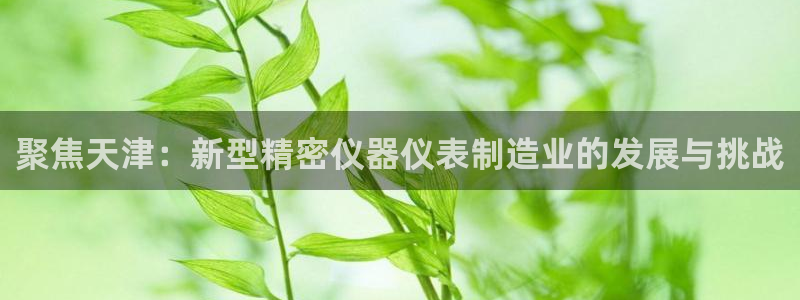 欧星娱乐 知乎：聚焦天津：新型精密仪器仪表制造业的发展与挑战