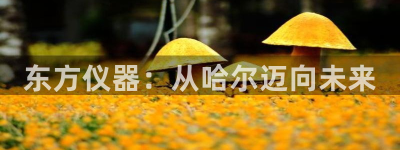 星欧娱乐是诈骗吗：东方仪器：从哈尔迈向未来