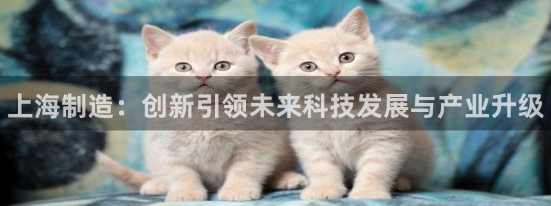 星欧娱乐掌7O777：上海制造：创新引领未来科技发展与产业升