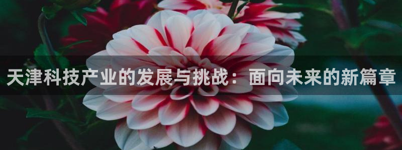 欧星老虎机娱乐：天津科技产业的发展与挑战：面向未来的新篇章