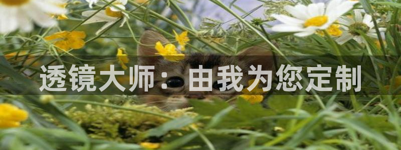 欧星娱乐竞技：透镜大师：由我为您定制