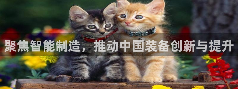 星娱乐online欧弟：聚焦智能制造，推动中国装备创新与提升