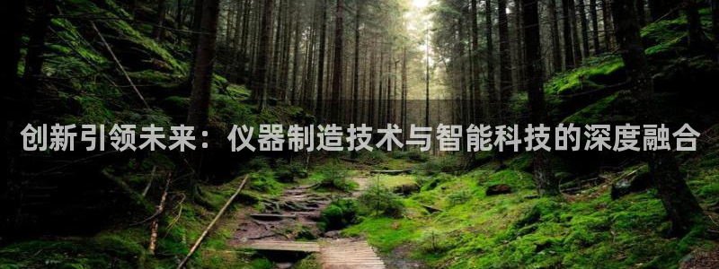 星欧娱乐扣费处理方法：创新引领未来：仪器制造技术与智能科技的