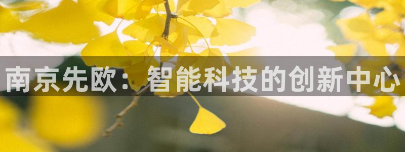 欧星娱乐电竞：南京先欧：智能科技的创新中心