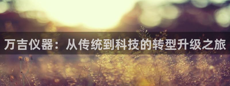 欧星娱乐08：万吉仪器：从传统到科技的转型升级之旅