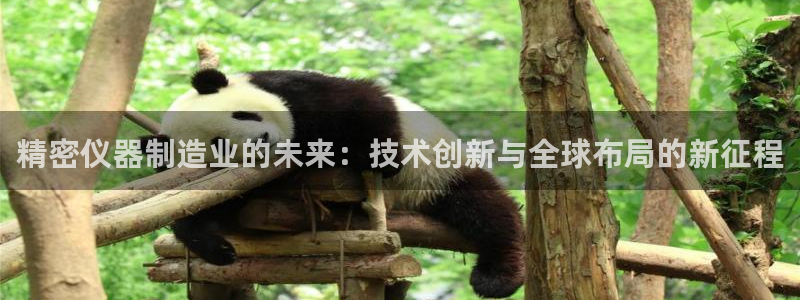 星饭娱乐欧豪是谁：精密仪器制造业的未来：技术创新与全球布局的