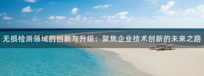 欧乐星城好玩的娱乐场所：无损检测领域的创新与升级：聚焦企业技