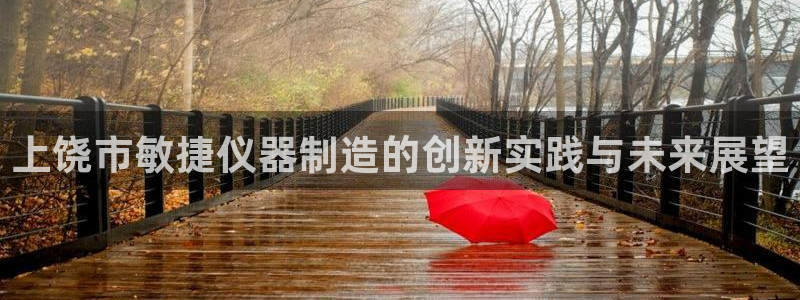 星欧娱乐号7o777：上饶市敏捷仪器制造的创新实践与未来展望