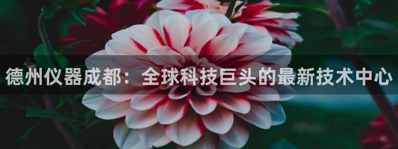 星欧娱乐平台：德州仪器成都：全球科技巨头的最新技术中心