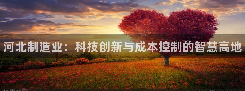 星欧娱乐官网客服电话号码：河北制造业：科技创新与成本控制的智