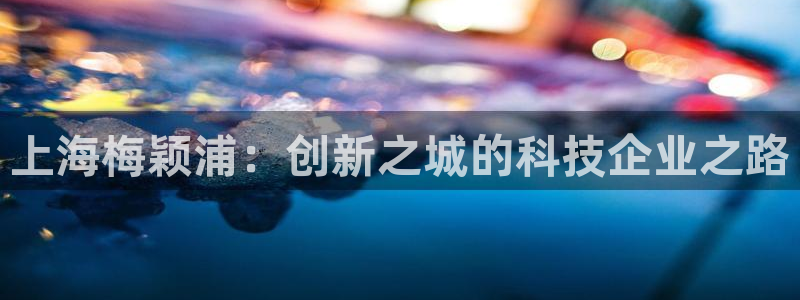 欧星娱乐平台：上海梅颖浦：创新之城的科技企业之路