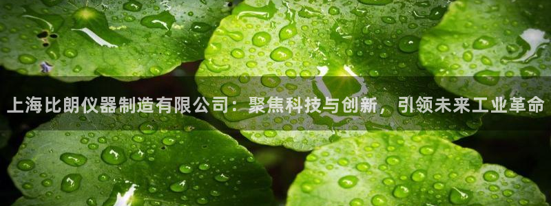 星欧娱乐是正规平台吗：上海比朗仪器制造有限公司：聚焦科技与创