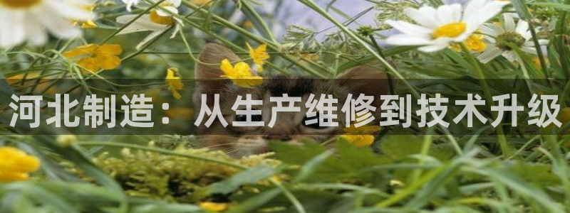 欧星在线娱乐：河北制造：从生产维修到技术升级