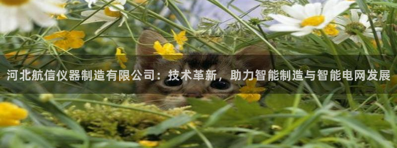 星欧娱乐扣费详情详解：河北航信仪器制造有限公司：技术革新，助