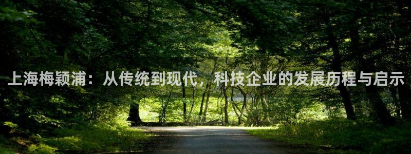 娱乐星天地马思纯欧豪：上海梅颖浦：从传统到现代，科技企业的发