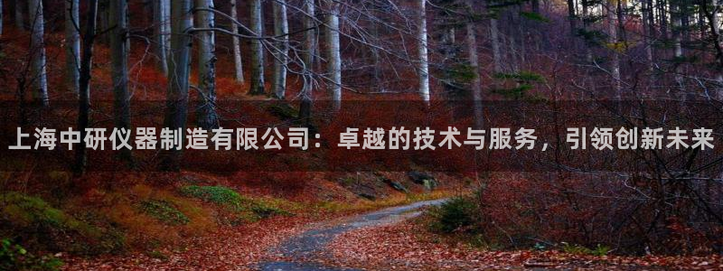 星欧娱乐平台是什么：上海中研仪器制造有限公司：卓越的技术与服