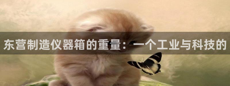 星欧娱乐官方网站：东营制造仪器箱的重量：一个工业与科技的