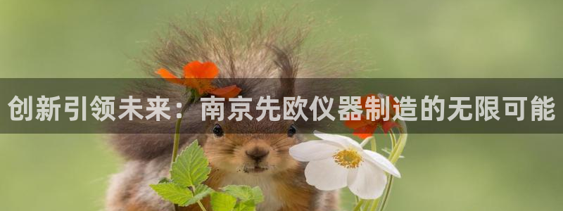 星欧娱乐平台电话：创新引领未来：南京先欧仪器制造的无限可能