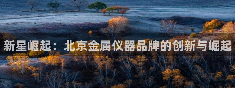 欧乐星城团购娱乐：新星崛起：北京金属仪器品牌的创新与崛起