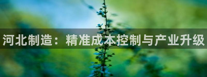 星辉娱乐进入欧连杯了吗：河北制造：精准成本控制与产业升级